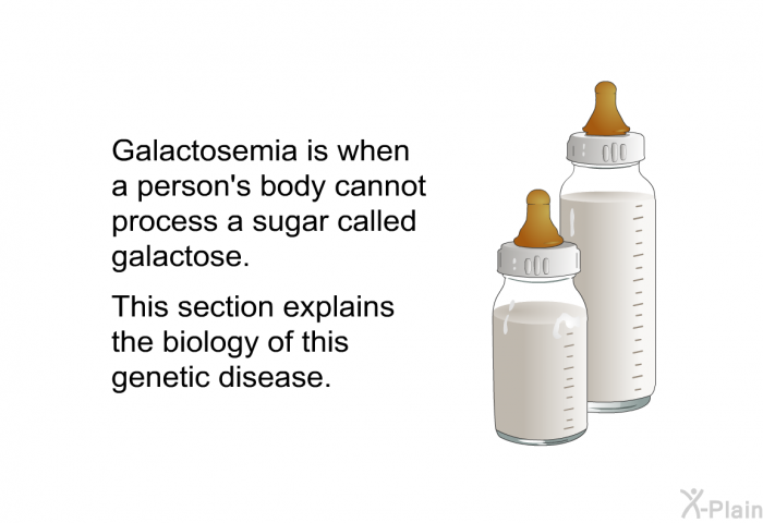 Galactosemia is when a person's body cannot process a sugar called galactose. This section explains the biology of this genetic disease.