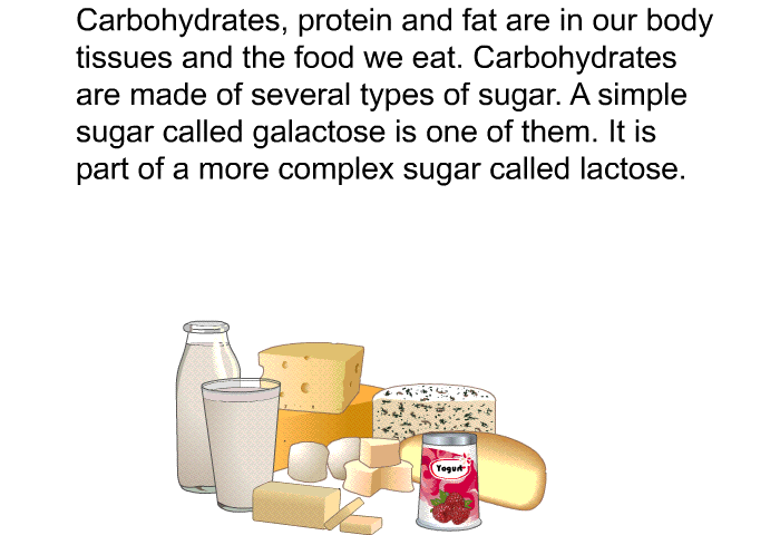 Carbohydrates, protein and fat are in our body tissues and the food we eat. Carbohydrates are made of several types of sugar. A simple sugar called galactose is one of them. It is part of a more complex sugar called lactose.