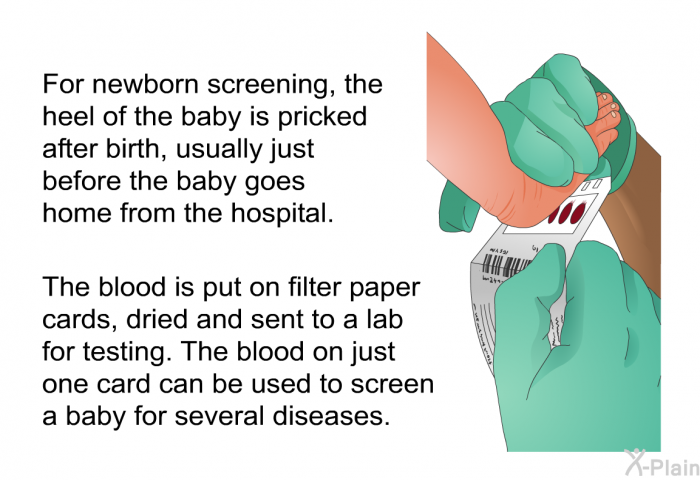 For newborn screening, the heel of the baby is pricked after birth, usually just before the baby goes home from the hospital. The blood is put on filter paper cards, dried and sent to a lab for testing. The blood on just one card can be used to screen a baby for several diseases.
