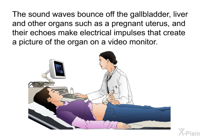 The sound waves bounce off the gallbladder, liver and other organs such as a pregnant uterus, and their echoes make electrical impulses that create a picture of the organ on a video monitor.