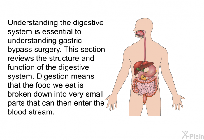 Understanding the digestive system is essential to understanding gastric bypass surgery. This section reviews the structure and function of the digestive system. Digestion means that the food we eat is broken down into very small parts that can then enter the blood stream.