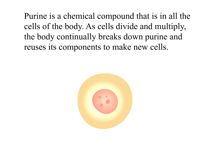Purine is a chemical compound that is in all the cells of the body. As cells divide and multiply, the body continually breaks down purine and reuses its components to make new cells.