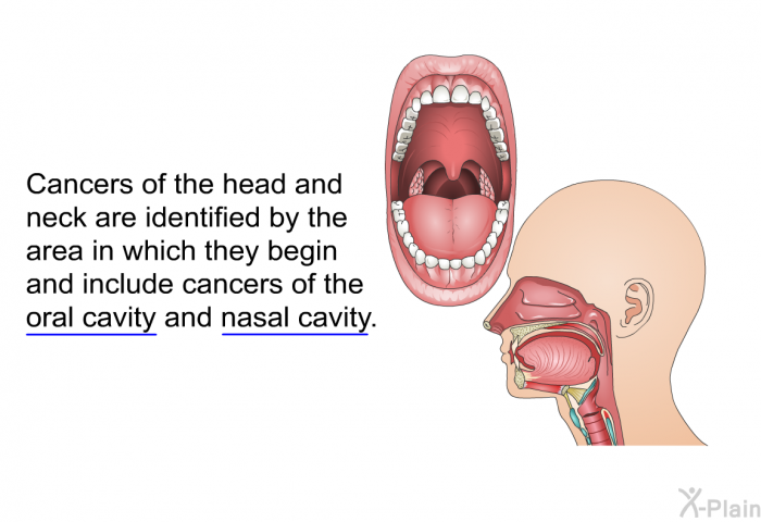 Cancers of the head and neck are identified by the area in which they begin and include cancers of the oral cavity and nasal cavity.