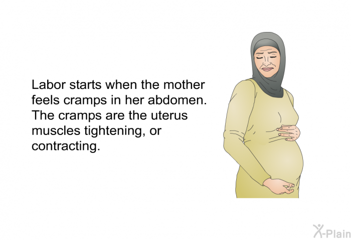 Labor starts when the mother feels cramps in her abdomen. The cramps are the uterus muscles tightening, or contracting.