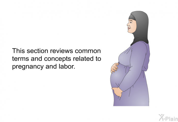 This section reviews common terms and concepts related to pregnancy and labor.