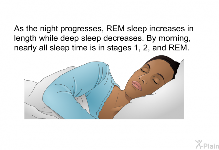 As the night progresses, REM sleep increases in length while deep sleep decreases. By morning, nearly all sleep time is in stages 1, 2, and REM.