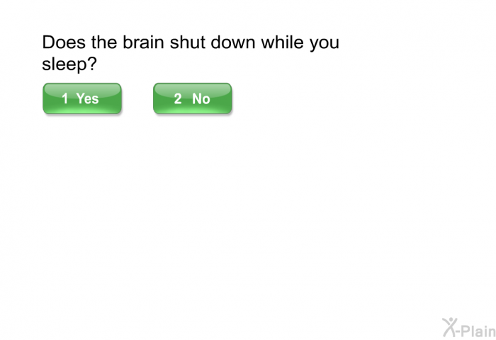 Does the brain shut down while you sleep?