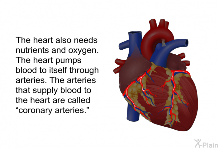 The heart also needs nutrients and oxygen. The heart pumps blood to itself through arteries. The arteries that supply blood to the heart are called “coronary arteries.”