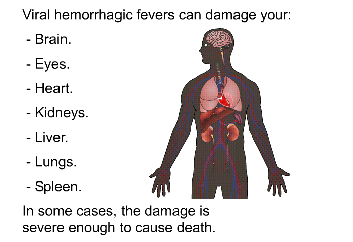 Viral hemorrhagic fevers can damage your:  Brain. Eyes. Heart. Kidneys. Liver. Lungs. Spleen.  
 In some cases, the damage is severe enough to cause death.