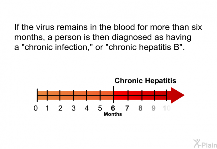 If the virus remains in the blood for more than six months, a person is then diagnosed as having a "chronic infection," or “chronic hepatitis B”.