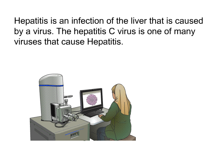 Hepatitis is an infection of the liver that is caused by a virus. The hepatitis C virus is one of many viruses that cause hepatitis.