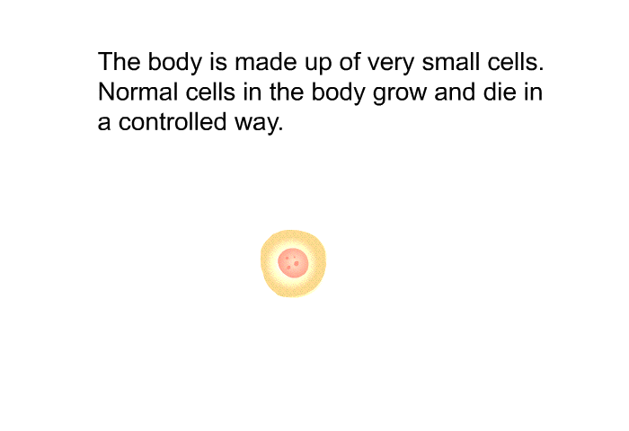 The body is made up of very small cells. Normal cells in the body grow and die in a controlled way.