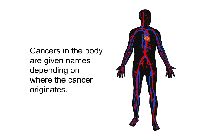 Cancers in the body are given names depending on where the cancer originates.