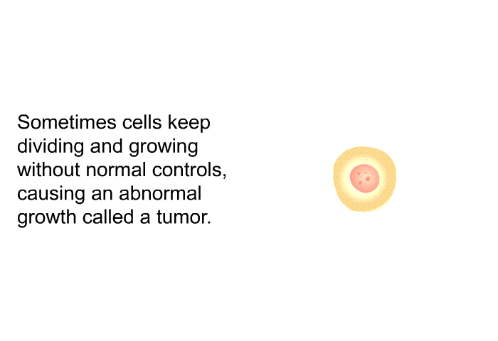 Sometimes cells keep dividing and growing without normal controls, causing an abnormal growth called a tumor.