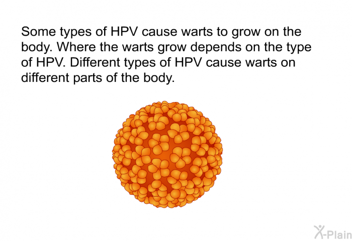 Some types of HPV cause warts to grow on the body. Where the warts grow depends on the type of HPV. Different types of HPV cause warts on different parts of the body.