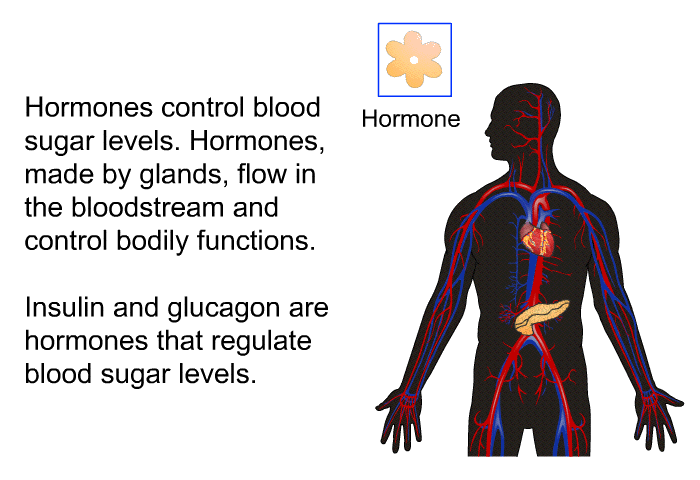 Hormones control blood sugar levels. Hormones are made by glands that flow in the bloodstream and control bodily functions. Insulin and glucagon are hormones that regulate blood sugar levels.