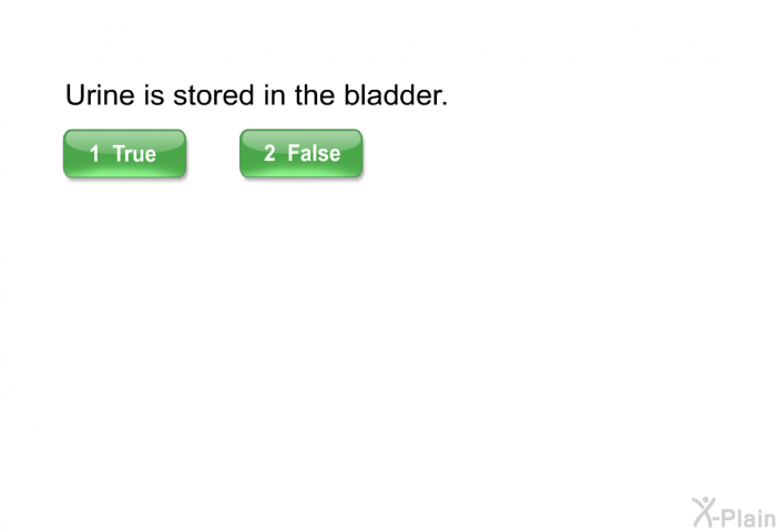 Urine is stored in the bladder.