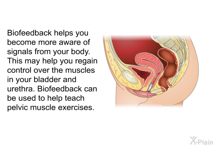 Biofeedback helps you become more aware of signals from your body. This may help you regain control over the muscles in your bladder and urethra. Biofeedback can be used to help teach pelvic muscle exercises.