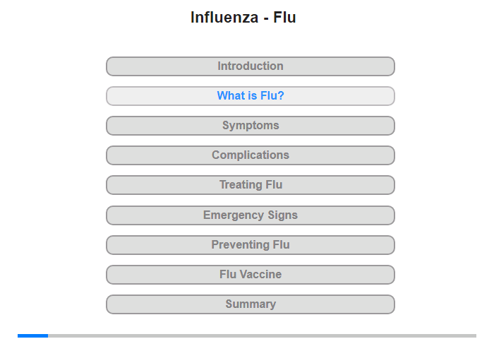 What is Flu?