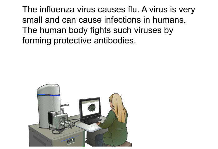 The influenza virus causes flu. A virus is very small and can cause infections in humans. The human body fights such viruses by forming protective antibodies.