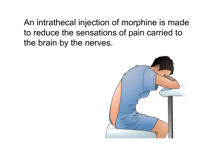 An intrathecal injection of morphine is made to reduce the sensations of pain carried to the brain by the nerves.