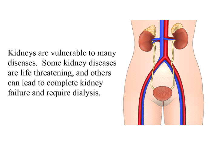Kidneys are vulnerable to many diseases. Some kidney diseases are life threatening, and others can lead to complete kidney failure and require dialysis.