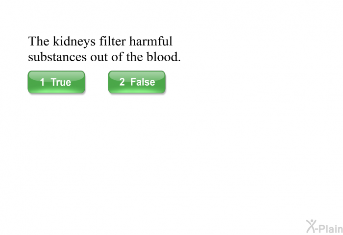 The kidneys filter harmful substances out of the blood.