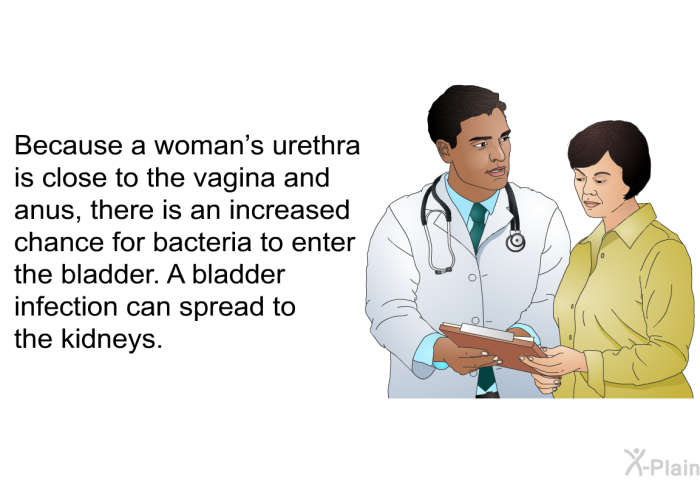 Because a woman's urethra is close to the vagina and anus, there is an increased chance for bacteria to enter the bladder. A bladder infection can spread to the kidneys.