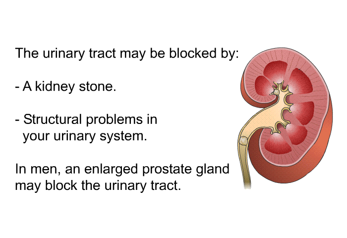 The urinary tract may be blocked by:  A kidney stone. Structural problems in your urinary system.  
 In men, an enlarged prostate gland may block the urinary tract.