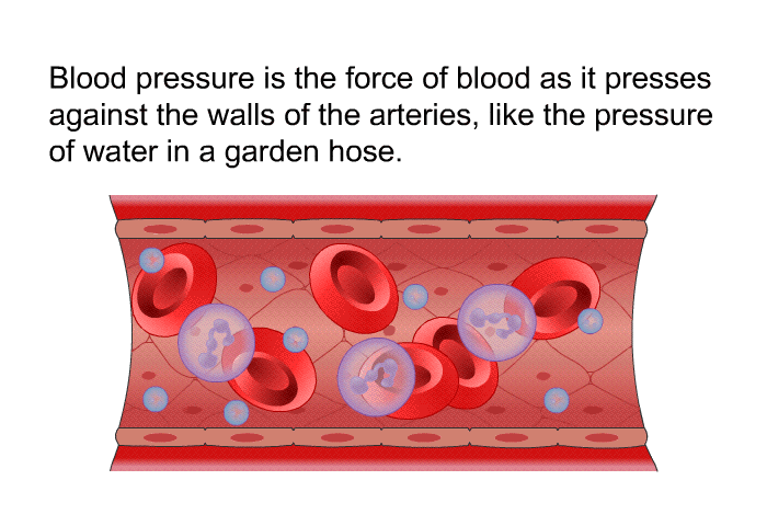 Blood pressure is the force of blood as it presses against the walls of the arteries, like the pressure of water in a garden hose.