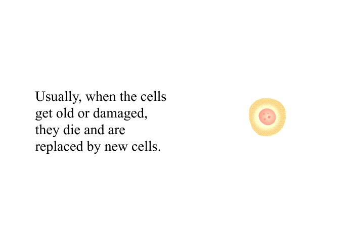 Usually, when the cells get old or damaged, they die and are replaced by new cells.