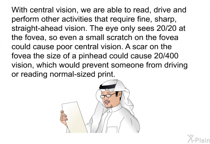 With central vision, we are able to read, drive and perform other activities that require fine, sharp, straight-ahead vision. The eye only sees 20/20 at the fovea, so even a small scratch on the fovea could cause poor central vision. A scar on the fovea the size of a pinhead could cause 20/400 vision, which would prevent someone from driving or reading normal-sized print.