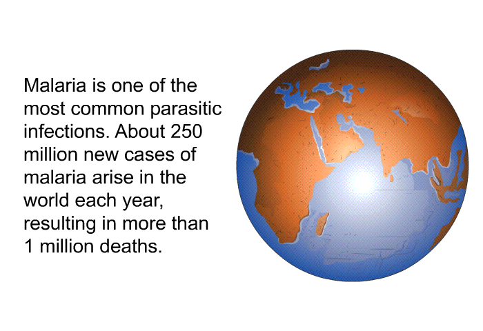 Malaria is one of the most common parasitic infections. About 250million new cases of malaria arise in the world each year, resulting in more than 1 million deaths.