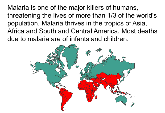 Malaria is one of the major killers of humans, threatening the lives of more than 1/3 of the world's population. Malaria thrives in the tropics of Asia, Africa and South and Central America. Most deaths due to malaria are of infants and children.