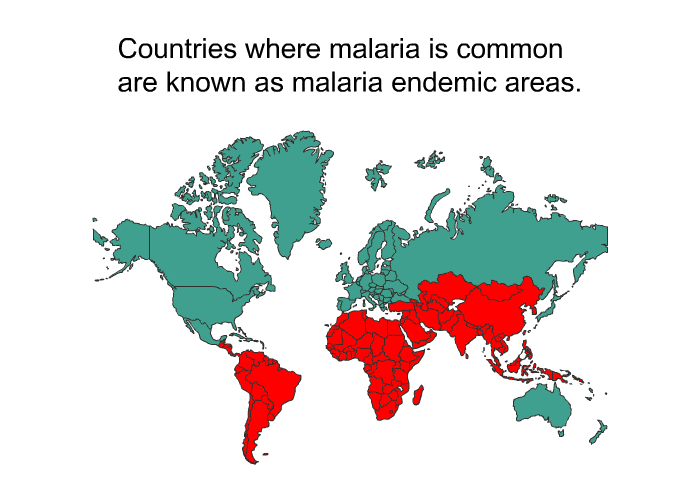 Countries where malaria is common are known as malaria endemic areas.