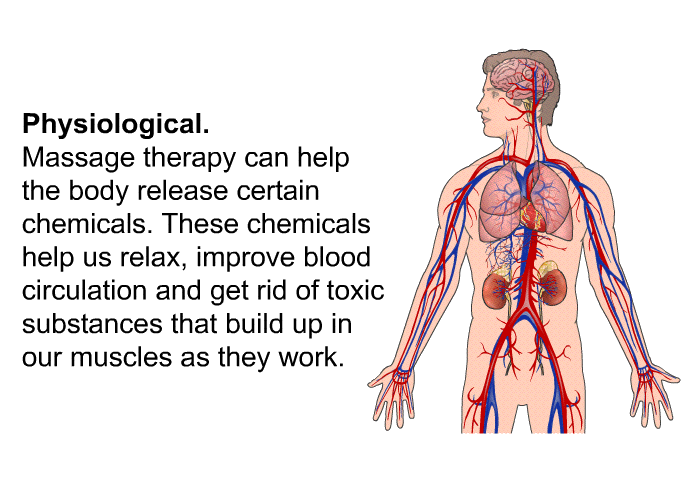 <U>Physiological</U>. Massage therapy can help the body release certain chemicals. These chemicals help us relax, improve blood circulation and get rid of toxic substances that build up in our muscles as they work.