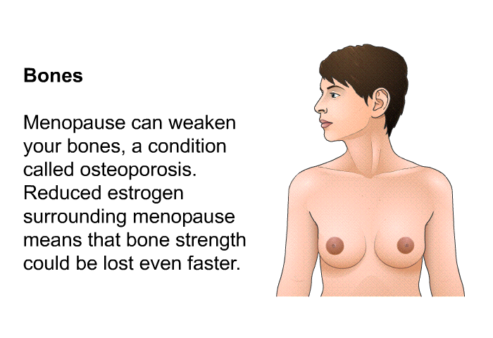<B>Bones</B> 
Menopause can weaken your bones, a condition called osteoporosis. Reduced estrogen surrounding menopause means that bone strength could be lost even faster.