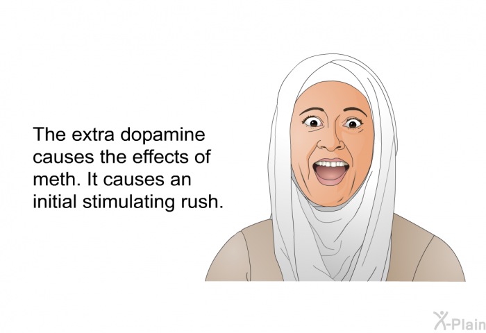 The extra dopamine causes the effects of meth. It causes an initial stimulating rush.