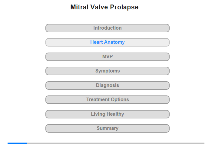 Heart Anatomy