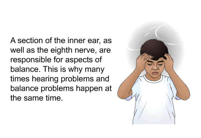 A section of the inner ear, as well as the eighth nerve, are responsible for aspects of balance. This is why many times hearing problems and balance problems happen at the same time.