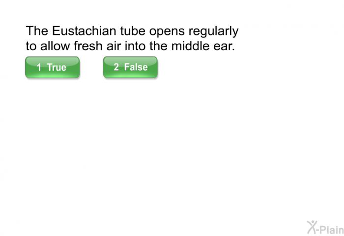 The Eustachian tube opens regularly to allow fresh air into the middle ear.