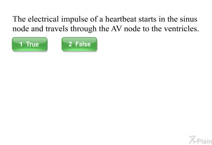 The electrical impulse of a heartbeat starts in the sinus node and travels through the AV node to the ventricles.