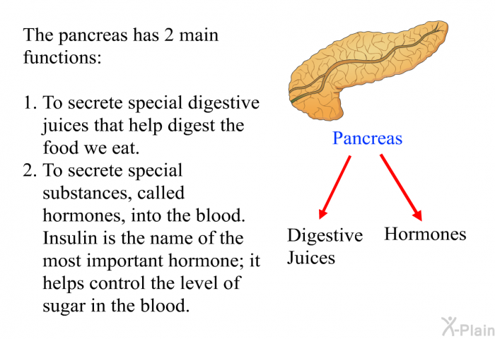 The pancreas has 2 main functions:  To secrete special digestive juices that help digest the food we eat. To secrete special substances, called hormones, into the blood. Insulin is the name of the most important hormone; it helps control the level of sugar in the blood.