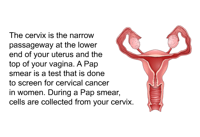 The cervix is the narrow passageway at the lower end of your uterus and the top of your vagina. A Pap smear is a test that is done to screen for cervical cancer in women. During a Pap smear, cells are collected from your cervix.