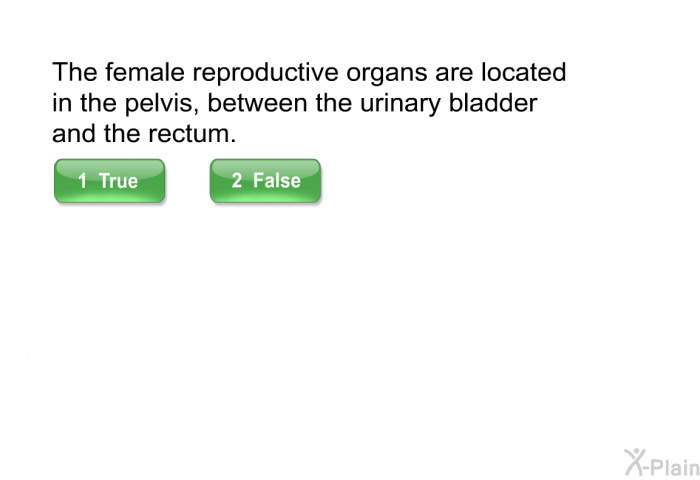 The female reproductive organs are located in the pelvis, between the urinary bladder and the rectum.