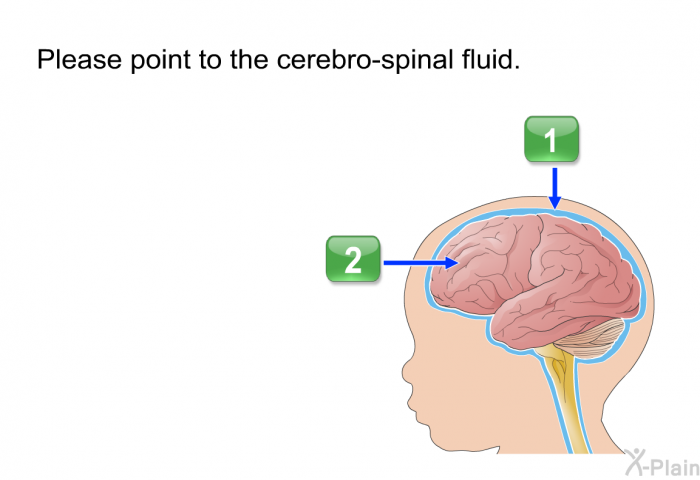 Please point to the cerebro-spinal fluid.