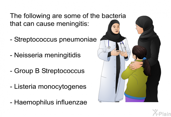The following are some of the bacteria that can cause meningitis:  Streptococcus pneumoniae Neisseria meningitidis Group B Streptococcus Listeria monocytogenes Haemophilus influenzae