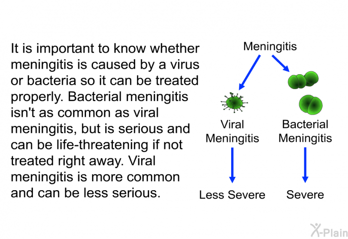 It is important to know whether meningitis is caused by a virus or bacteria so it can be treated properly. Bacterial meningitis isn't as common as viral meningitis, but is serious and can be life-threatening if not treated right away. Viral meningitis is more common and can be less serious.