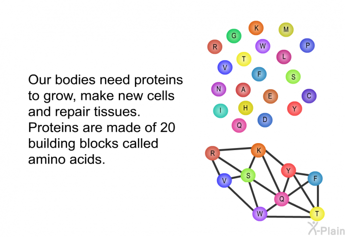 Our bodies need proteins to grow, make new cells and repair tissues. Proteins are made of 20 building blocks called amino acids.