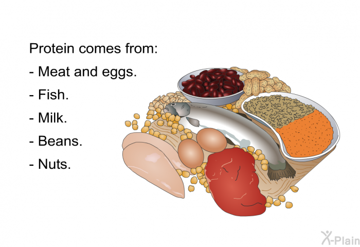 Protein comes from:  Meat and eggs. Fish. Milk. Beans. Nuts.